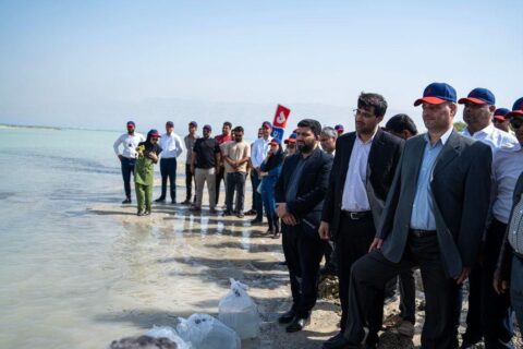 رهاسازی ماهی شانک زردباله در نایبند، احیای گونه در معرض انقراض در خلیج‌فارس، حمایت آریاساسول از محیط‌زیست دریایی، حفاظت از آبزیان نایبند