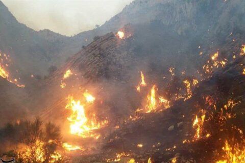 تصویری از آتش‌سوزی گسترده در ارتفاعات سوک دشتستان