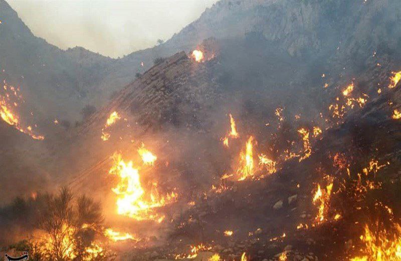تصویری از آتش‌سوزی گسترده در ارتفاعات سوک دشتستان