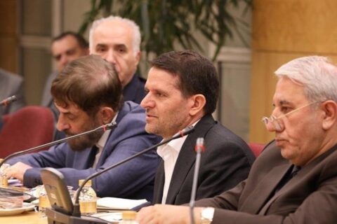 حمایت ازصنایع تکمیلی با هدف تکمیل زنجیره ارزش