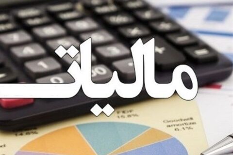 نقش پتروشیمی‌ها در جهش درآمد مالیاتی بوشهر