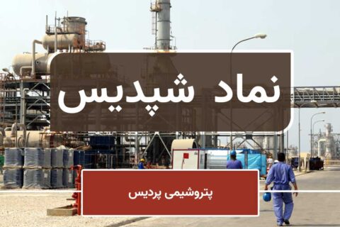 رشد درآمد شپدیس در خرداد ۱۴۰۴