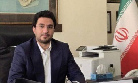 کمیل پورضیایی مدیرعامل پتروشیمی خارک در هیئت‌مدیره شرکت تاپیکو