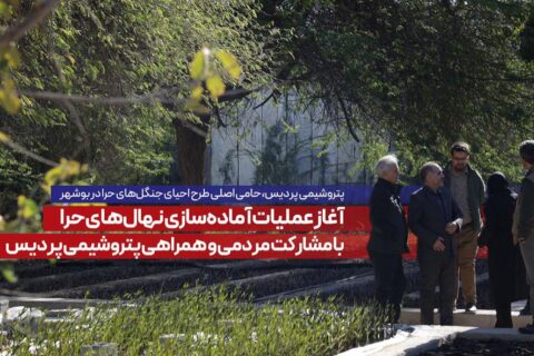پتروشیمی پردیس در حال حمایت از طرح احیای جنگل‌های حرا در سواحل بوشهر