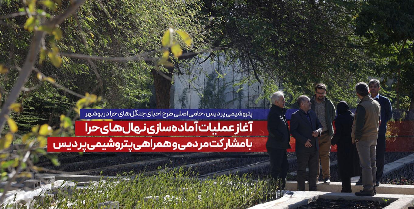 پتروشیمی پردیس در حال حمایت از طرح احیای جنگل‌های حرا در سواحل بوشهر